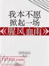 《我本不愿掀起一场腥风血雨》小说封面