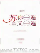 《苏你一遍又一遍[快穿]》小说封面