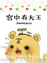 《宫中有大王》小说封面
