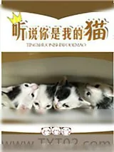 《听说你是我的猫》小说封面