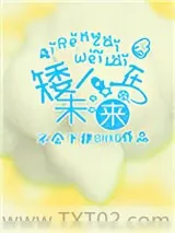 《矮人在未来》小说封面