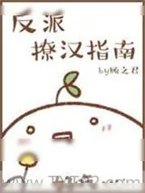 《[快穿]反派撩汉指南》小说封面