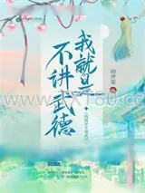 《我就是不讲武德》小说封面