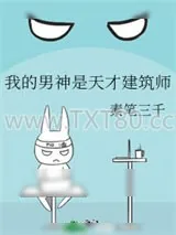 《我的男神是天才建筑师》小说封面