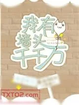 《我有墙头千千万》小说封面