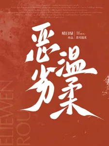 《恶劣温柔》小说封面