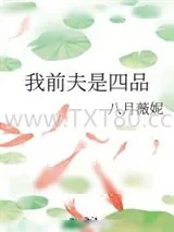 《我前夫是四品》小说封面