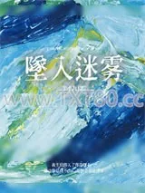 《坠入迷雾》小说封面