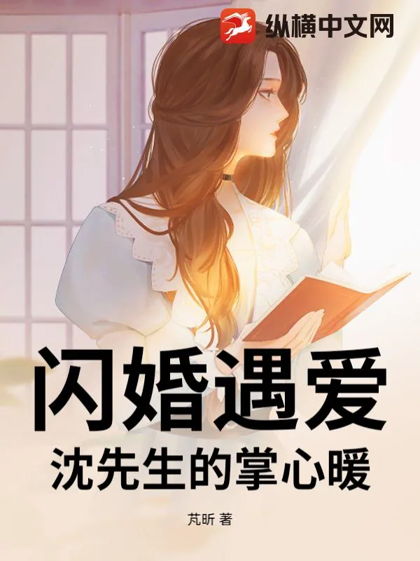 《闪婚遇爱：沈先生的掌心暖》小说封面
