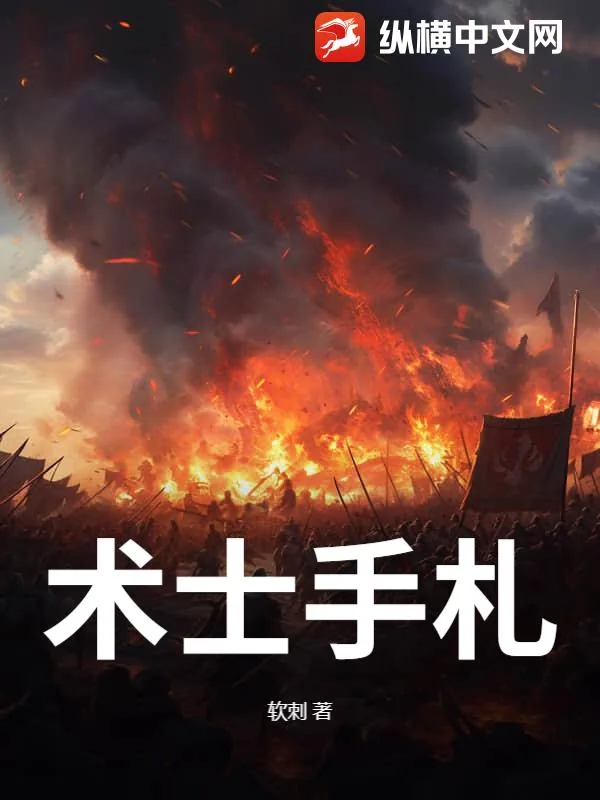 《术士手札》小说封面