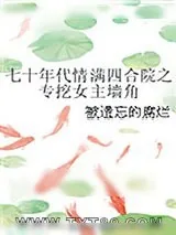 《情满四合院》小说封面