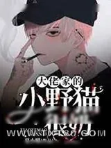 《大佬家的小野猫很奶》小说封面