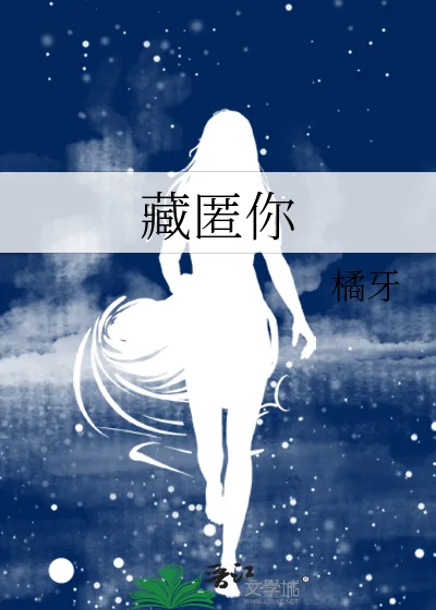 《藏匿你》小说封面