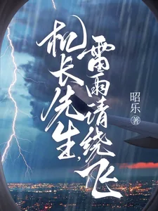 《机长先生，雷雨请绕飞》小说封面