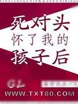 《死对头怀了我的孩子后GL》小说封面