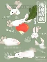 《逢狼时刻》小说封面