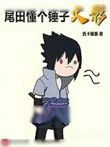 《尾田懂个锤子火影》小说封面