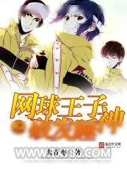 《网球王子之破发睡神》小说封面