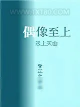 《我家偶像两百斤》小说封面