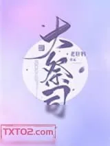 《大祭司》小说封面