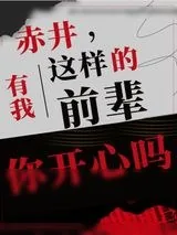 《卧底手册》小说封面