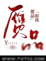《赝品如我》小说封面