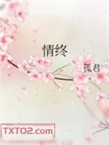 《情终》小说封面