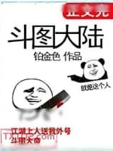 《斗图大陆》小说封面