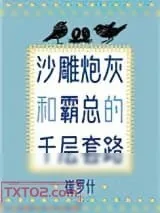 《沙雕炮灰和霸总的千层套路》小说封面