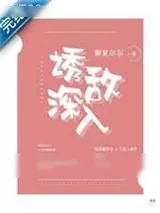 《诱敌深入》小说封面