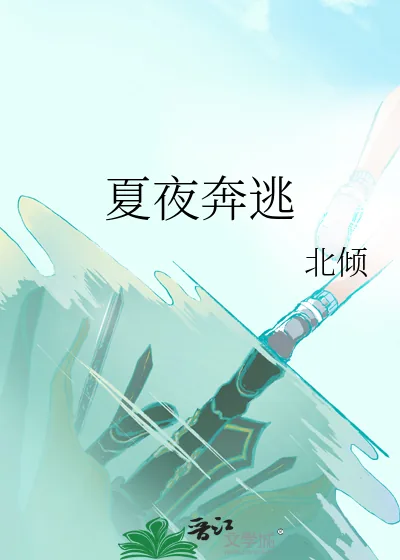 《夏夜奔逃》小说封面