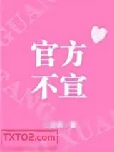 《官方不宣[娱乐圈]》小说封面