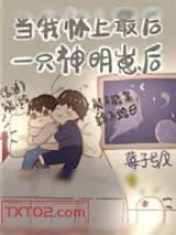 《当我怀了最后一只神明崽后》小说封面