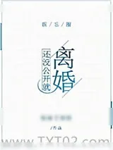 《还没公开就离婚[娱乐圈]》小说封面