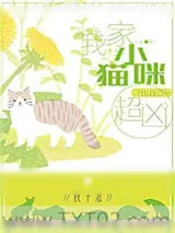 《我家小猫咪超凶！[穿书]》小说封面