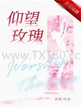 《仰望玫瑰》小说封面