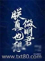 《朕真也想做明君》小说封面