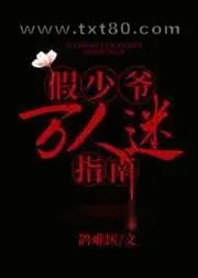 《假少爷万人迷指南》小说封面
