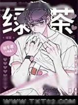 《我靠美貌追老婆》小说封面