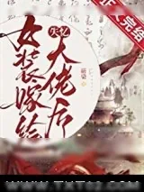 《女装嫁给失忆大佬后》小说封面