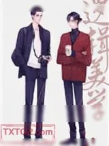 《逻辑美学》小说封面