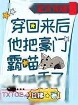 《穿回来后他把豪门霸喵rua秃了》小说封面
