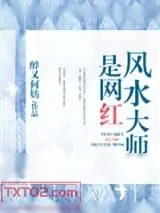《风水大师是网红》小说封面