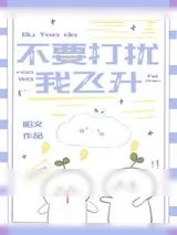 《不要打扰我飞升》小说封面