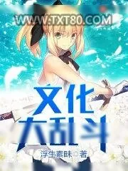 《文化大乱斗》小说封面