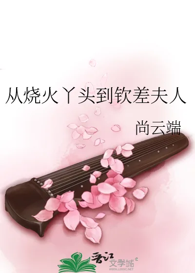 《从烧火丫头到钦差夫人》小说封面