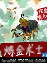 《炼金术士手册》小说封面