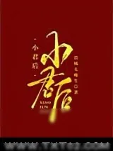 《小君后》小说封面