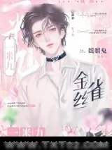 《黑皮保镖说他不从》小说封面