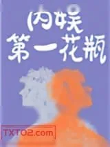《内娱第一花瓶》小说封面